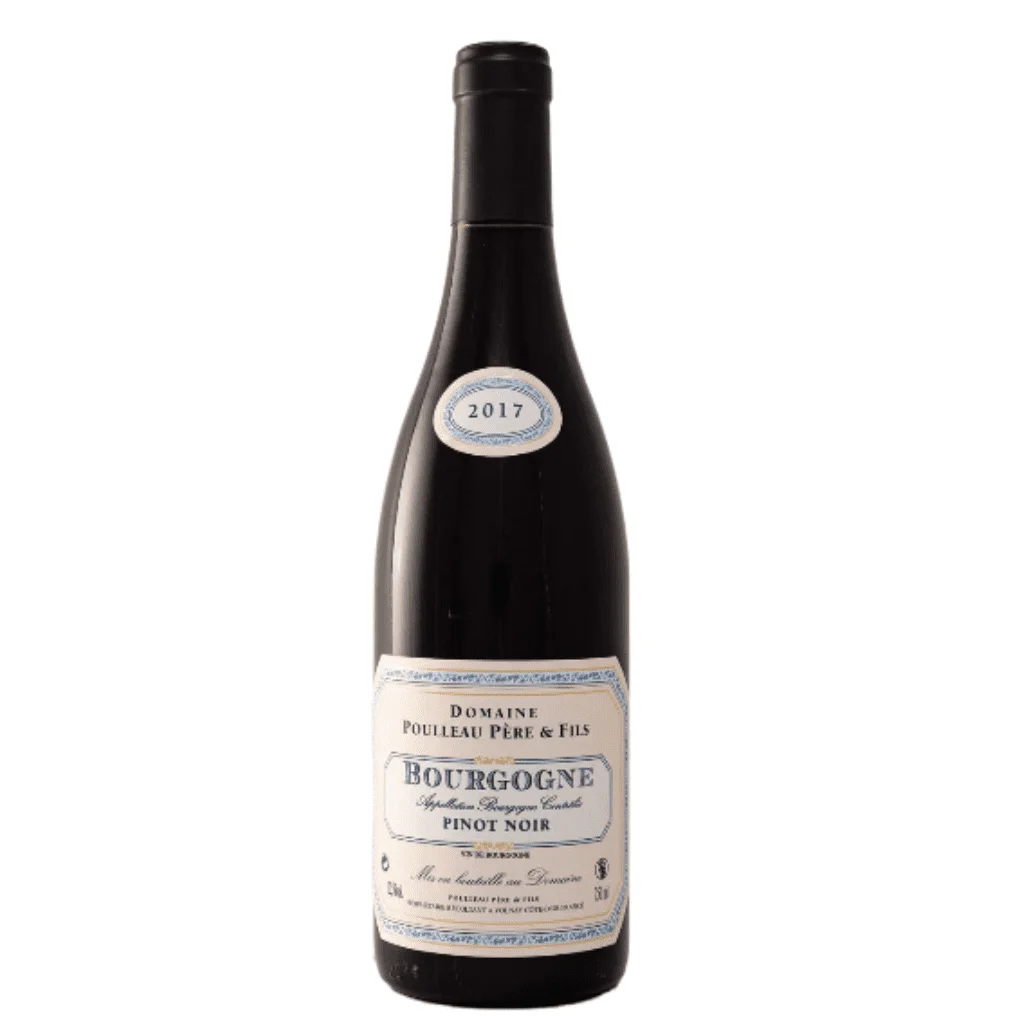 Domaine Poulleau, Bourgogne Côte d'Or Pinot Noir 2020 Bottle